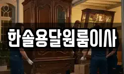 한솔용달원룸이사
