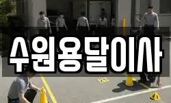 수원용달이사