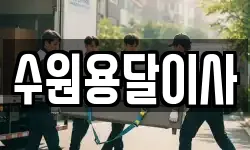 수원용달이사
