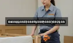 원룸이사용달이사포장이사사무실이사보관이사야간이사당일이사