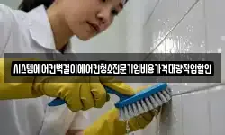 시스템에어컨벽걸이에어컨청소전문기업비용가격대량작업할인