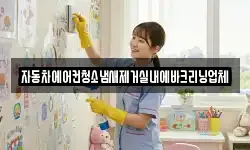자동차에어컨청소냄새제거실내에바크리닝업체