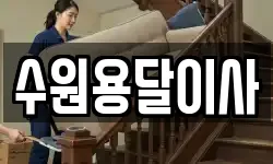 수원용달이사