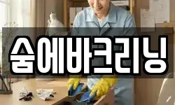 숨에바크리닝