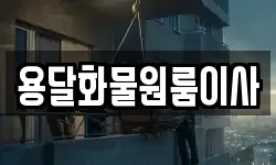 용달화물원룸이사