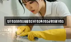 입주청소이사청소원룸청소거주청소특수청소곰팡이제거청소
