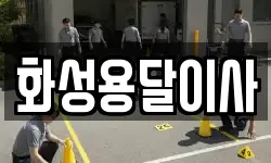 화성용달이사
