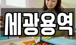 세광용역