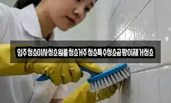 입주청소이사청소원룸청소거주청소특수청소곰팡이제거청소