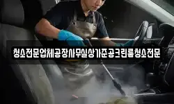 청소전문업체공장사무실상가준공크린룸청소전문