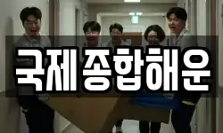 국제종합해운