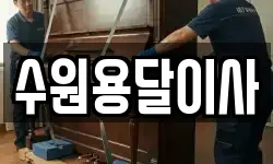 수원용달이사
