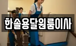 한솔용달원룸이사