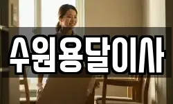 수원용달이사