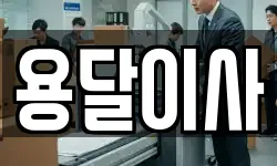 용달이사