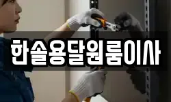 한솔용달원룸이사
