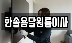한솔용달원룸이사