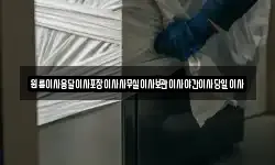 원룸이사용달이사포장이사사무실이사보관이사야간이사당일이사