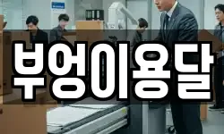 부엉이용달