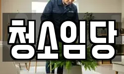청소임당