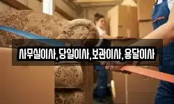 사무실이사,당일이사,보관이사,용달이사
