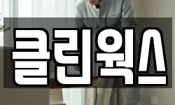 클린웍스
