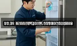 삼성,대우,캐리어시스템벽걸이스탠드천장형에어컨청소업체비용