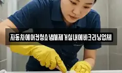 자동차에어컨청소냄새제거실내에바크리닝업체