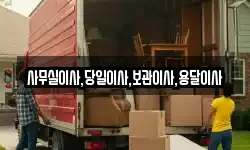 사무실이사,당일이사,보관이사,용달이사