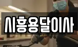 시흥용달이사