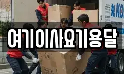 여기이사요기용달