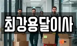 최강용달이사