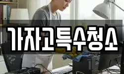 가자고특수청소