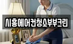 시흥에어컨청소부부크린