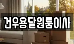 건우용달원룸이사