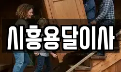 시흥용달이사