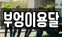 부엉이용달