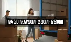 사무실이사,당일이사,보관이사,용달이사