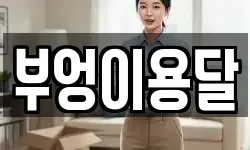 부엉이용달