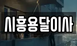 시흥용달이사