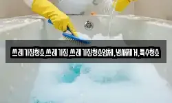 쓰레기집청소,쓰레기집,쓰레기집청소업체,냄새제거,특수청소