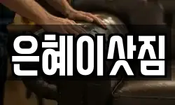 경기도 시흥시 하중동 이사,용달이사,포장이사,원룸이사,보관이사