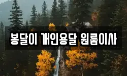봉달이 개인용달 원룸이사