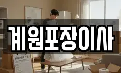 계원포장이사