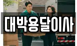 대박용달이사