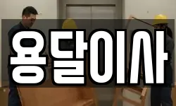 용달이사