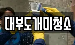 대부도개미청소