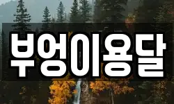 부엉이용달