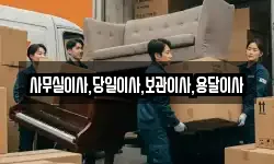 사무실이사,당일이사,보관이사,용달이사