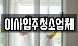 이사입주청소업체